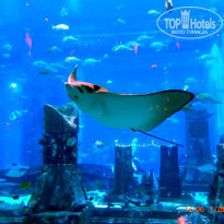 фото из отзыва ID 1907368