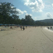 фото из отзыва ID 1907447