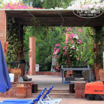 фото из отзыва ID 1907659