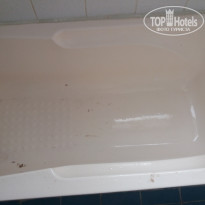 фото из отзыва ID 1907709