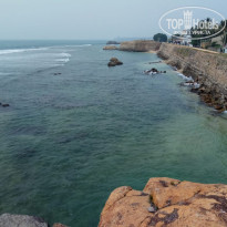 фото из отзыва ID 1907680