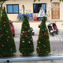 фото из отзыва ID 1907770