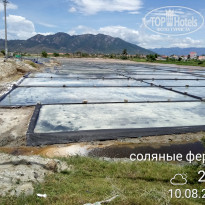 фото из отзыва ID 1907784