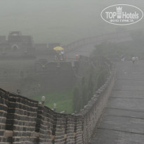 фото из отзыва ID 1907800