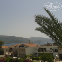 фото из отзыва ID 1907844