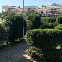 фото из отзыва ID 1907876