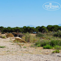 фото из отзыва ID 1907906