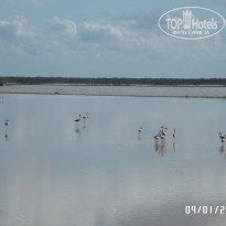 фото из отзыва ID 1908146