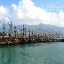 фото из отзыва ID 1908147