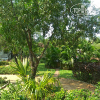 фото из отзыва ID 1908245