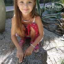 фото из отзыва ID 1908318