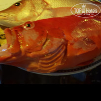 фото из отзыва ID 1908462