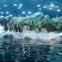 фото из отзыва ID 1908601