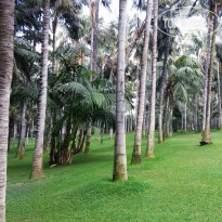 фото из отзыва ID 1908601