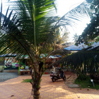 фото из отзыва ID 1908674