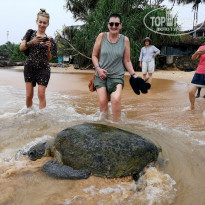 фото из отзыва ID 1908765