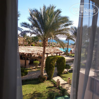 фото из отзыва ID 1908864