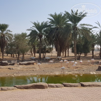 фото из отзыва ID 1909037