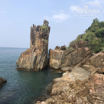 фото из отзыва ID 1909083