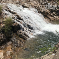 фото из отзыва ID 1909116