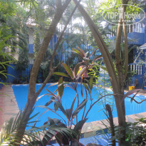 фото из отзыва ID 1909149