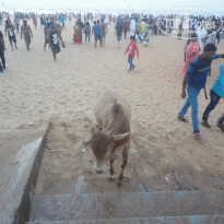 фото из отзыва ID 1909149