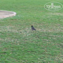 фото из отзыва ID 1907971