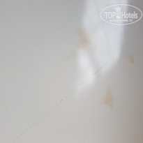 фото из отзыва ID 1909122