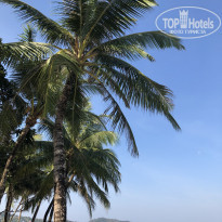 фото из отзыва ID 1909290