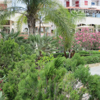 фото из отзыва ID 1909373