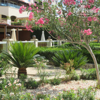 фото из отзыва ID 1909373