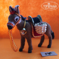 фото из отзыва ID 1909373