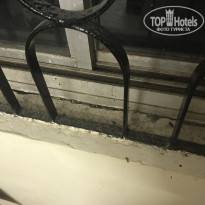 фото из отзыва ID 1909472