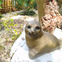 фото из отзыва ID 1909375