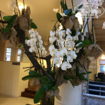 фото из отзыва ID 1909471