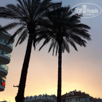 фото из отзыва ID 1909515