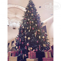 фото из отзыва ID 1909479