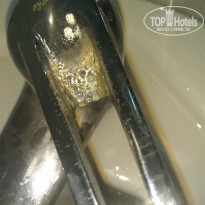 фото из отзыва ID 1909639