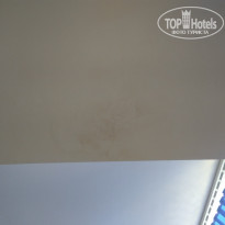 фото из отзыва ID 1909639