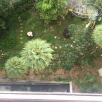 фото из отзыва ID 1906202