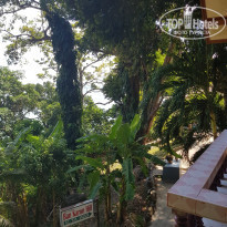 фото из отзыва ID 1909801