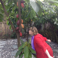 фото из отзыва ID 1909840