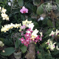 фото из отзыва ID 1909840