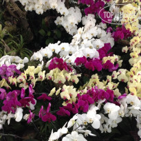 фото из отзыва ID 1909840