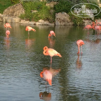 фото из отзыва ID 1909840