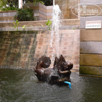 фото из отзыва ID 1909878