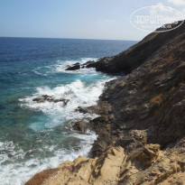 фото из отзыва ID 1909989