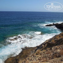 фото из отзыва ID 1909989