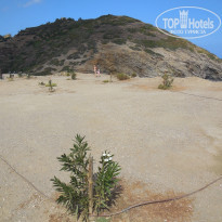 фото из отзыва ID 1909989