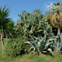 фото из отзыва ID 1909987